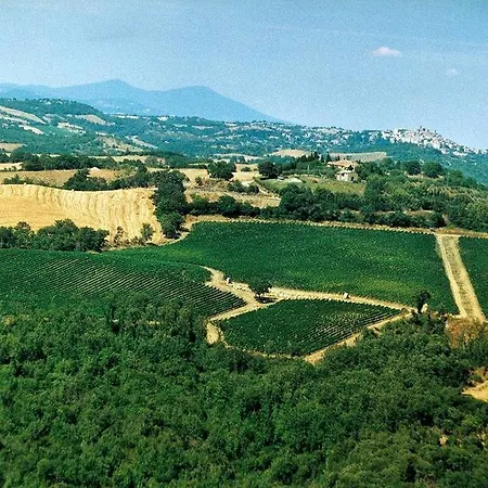 Fattoria Poggio Foco Farm stay *
