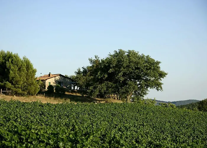 Fattoria Poggio Foco *